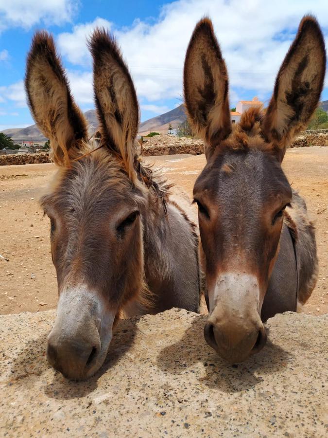 Отель Teepee Barranco Тиндайя Экстерьер фото